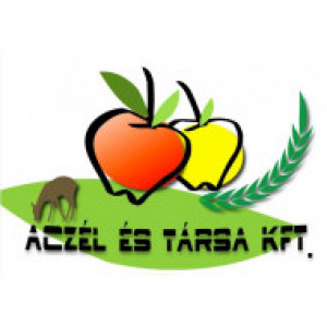 Aczél és Társa Kft.